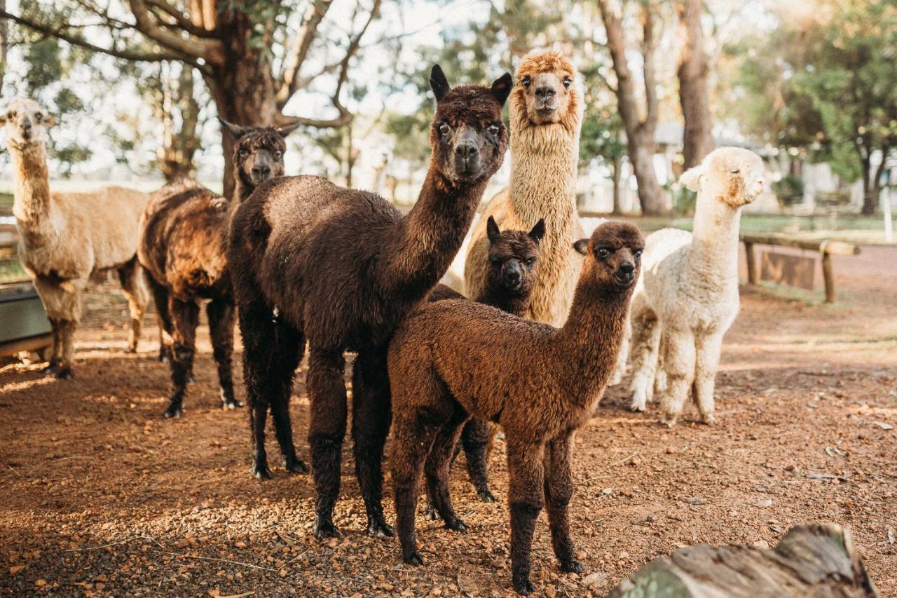 Margaret River Holiday Cottages Ngoại thất bức ảnh
