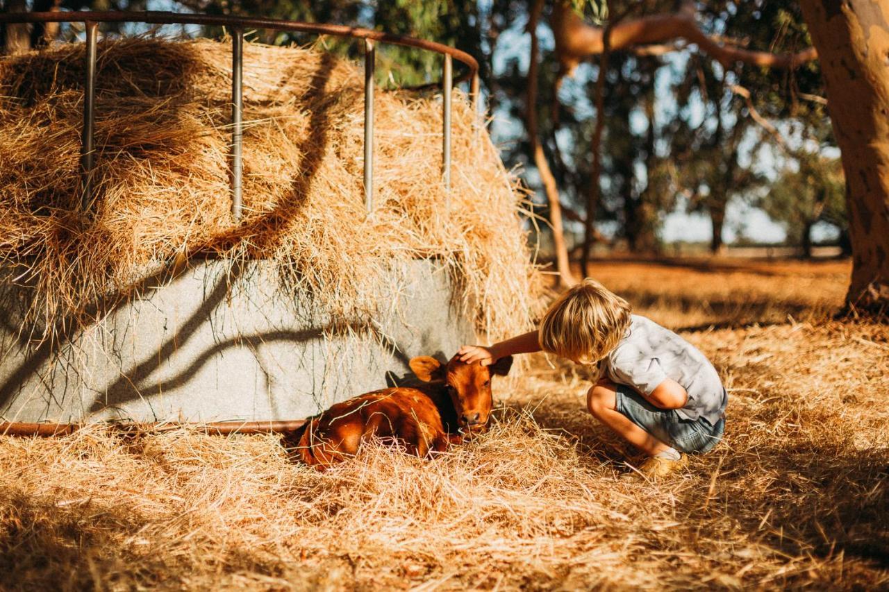 Margaret River Holiday Cottages Ngoại thất bức ảnh