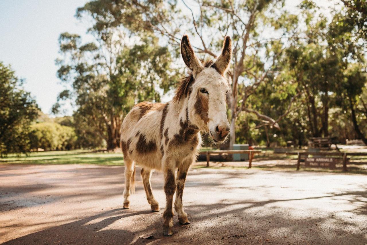 Margaret River Holiday Cottages Ngoại thất bức ảnh
