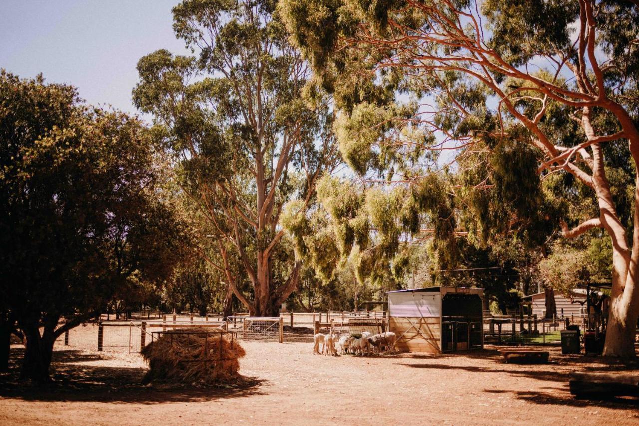 Margaret River Holiday Cottages Ngoại thất bức ảnh