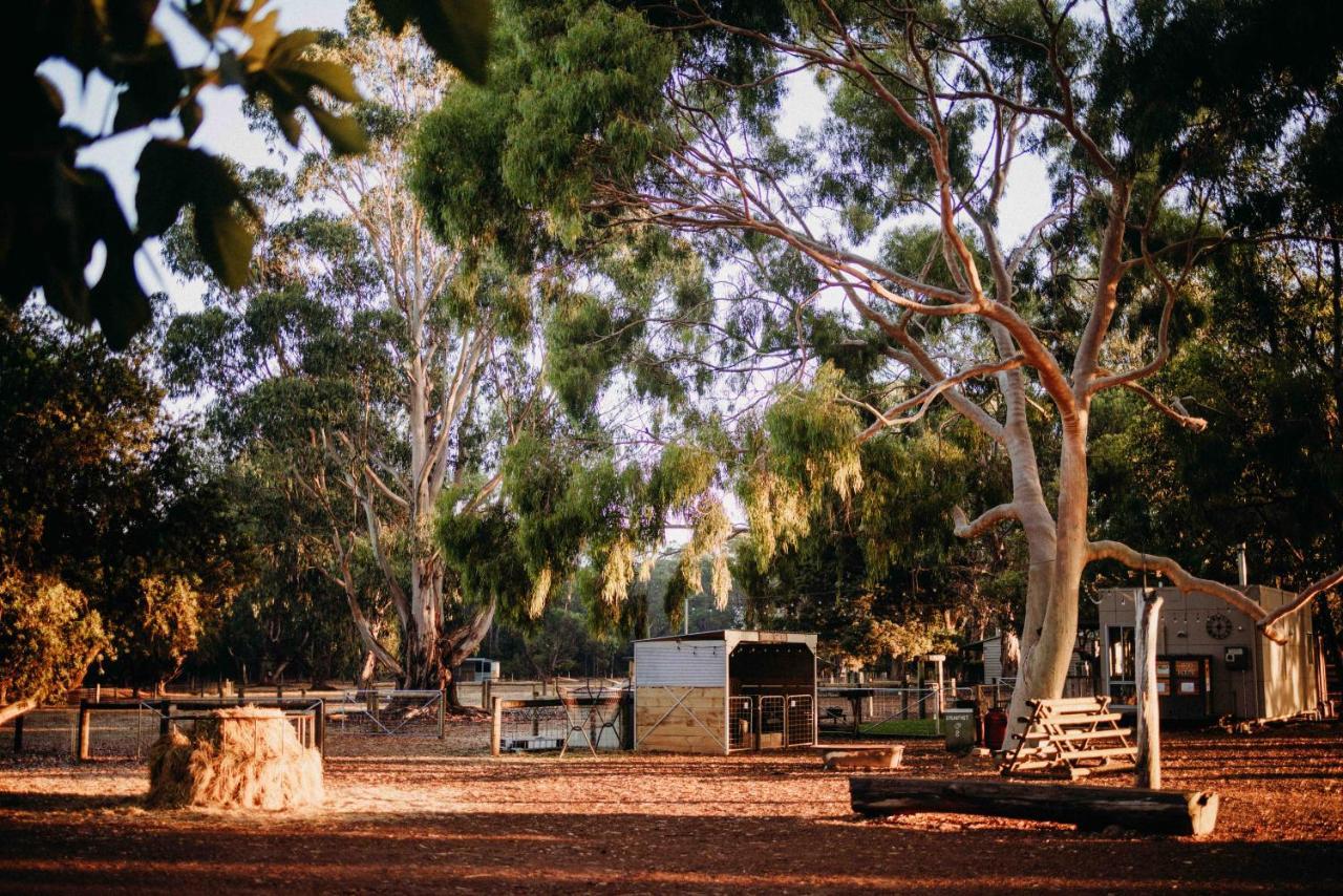 Margaret River Holiday Cottages Ngoại thất bức ảnh