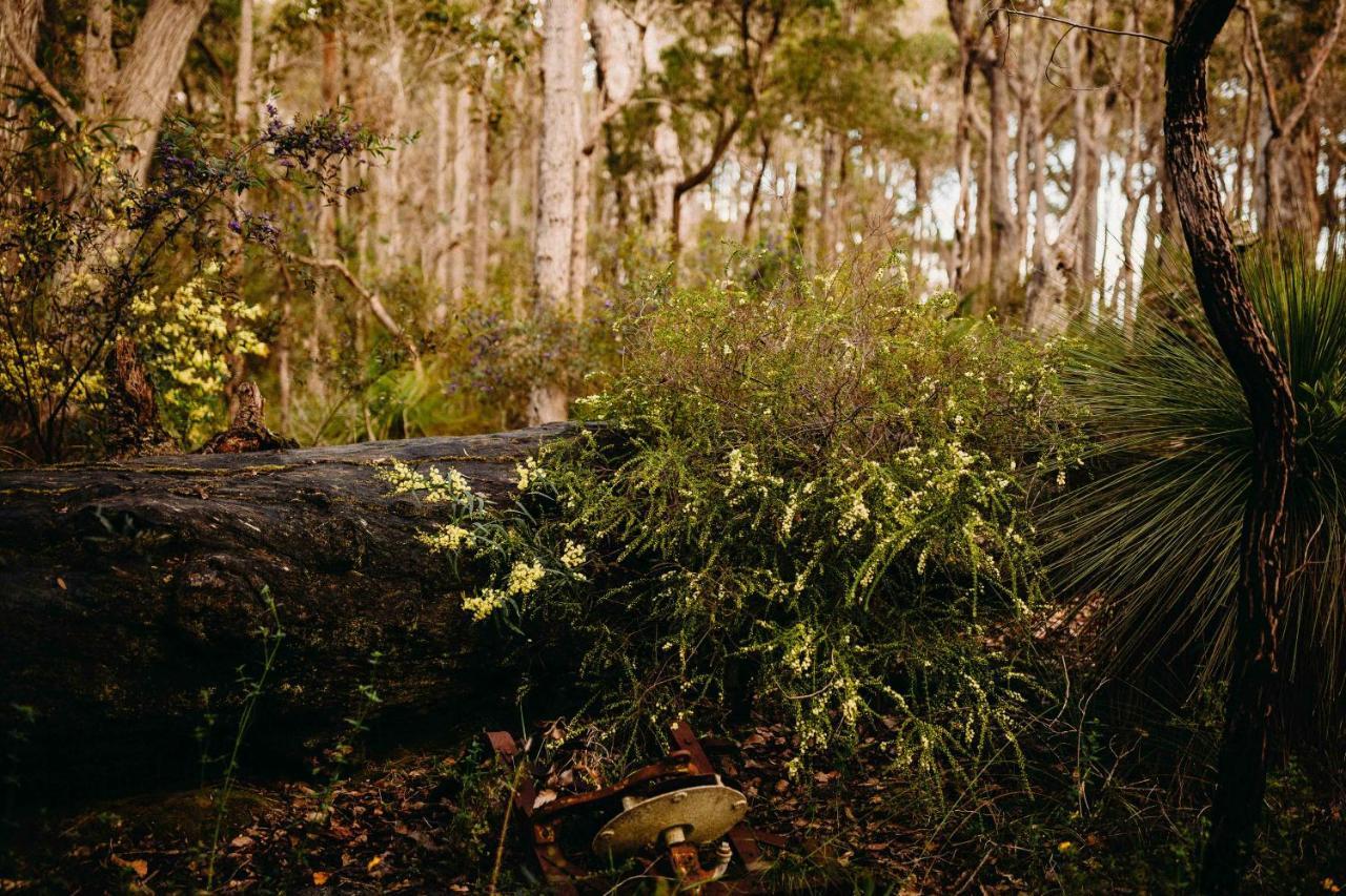 Margaret River Holiday Cottages Ngoại thất bức ảnh