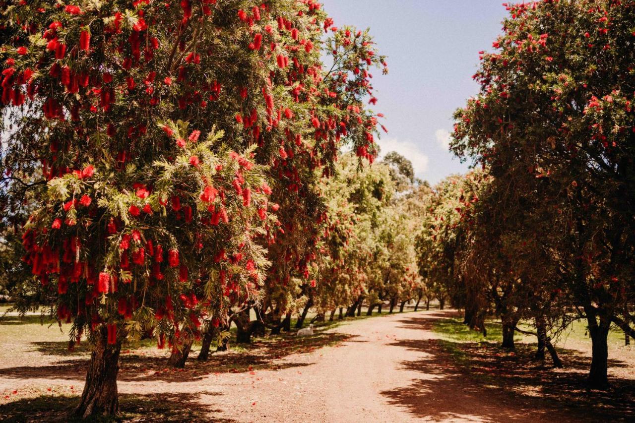 Margaret River Holiday Cottages Ngoại thất bức ảnh