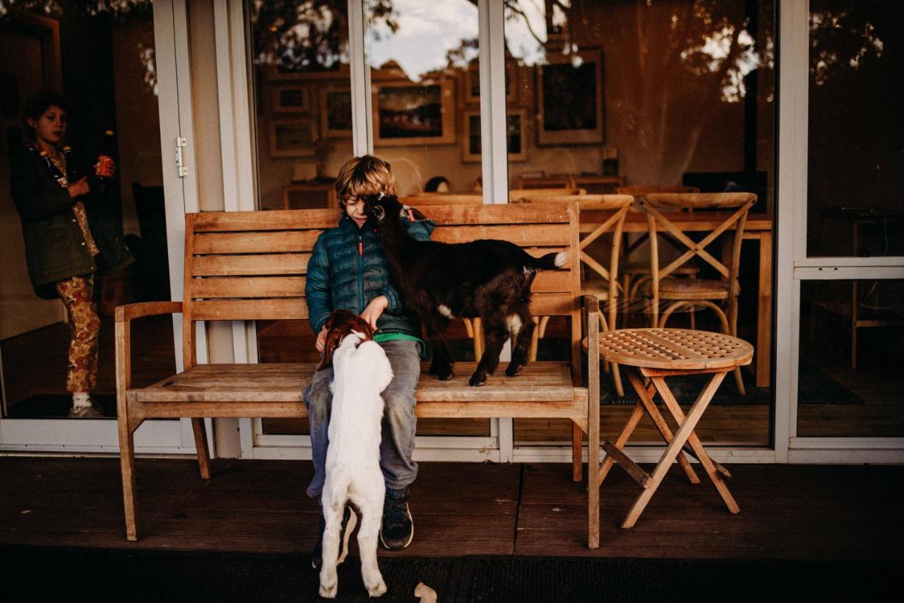 Margaret River Holiday Cottages Ngoại thất bức ảnh