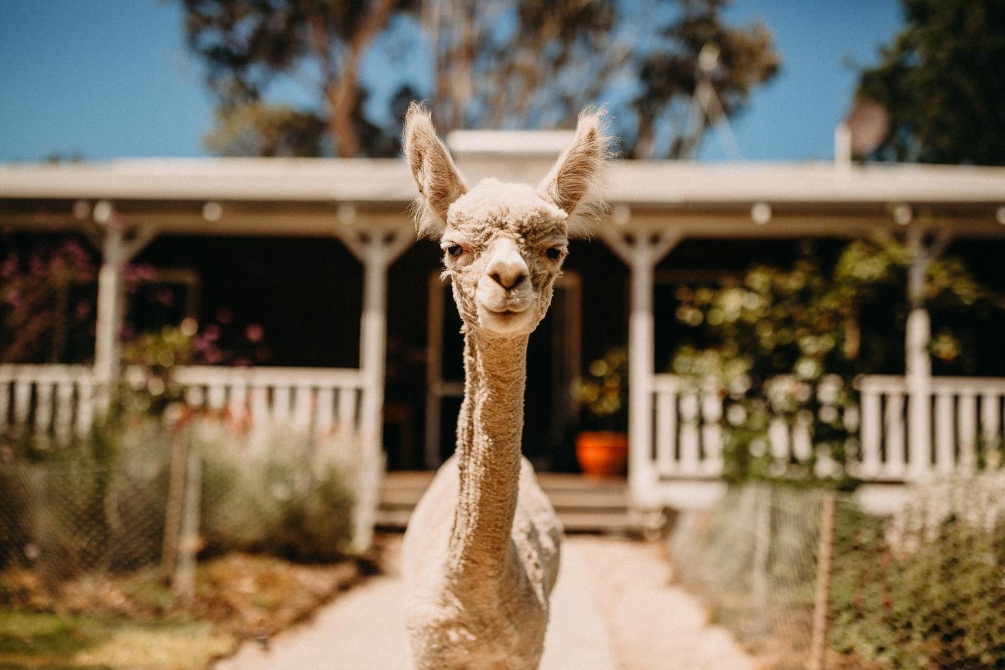 Margaret River Holiday Cottages Ngoại thất bức ảnh